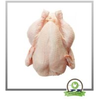 Freshly Frozen Whole Bird