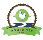 mooi river transparent